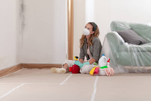 Reliable Bathroom Mold Removal contractor in Colts Neck, NJ by WQB Mold Removal